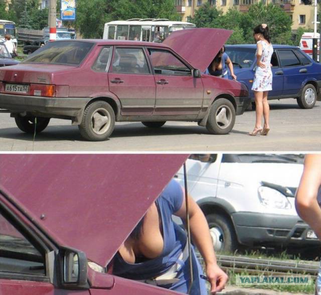 Картинки и демотиваторы