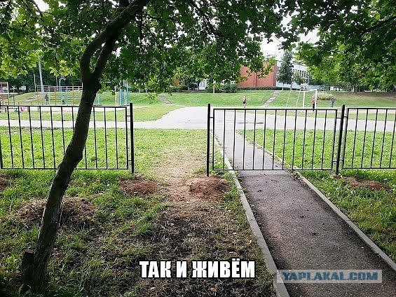 Чисто русские картинки