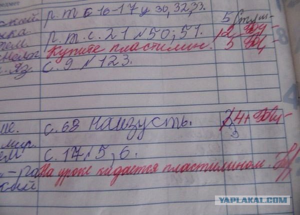 Записи в школьных дневниках
