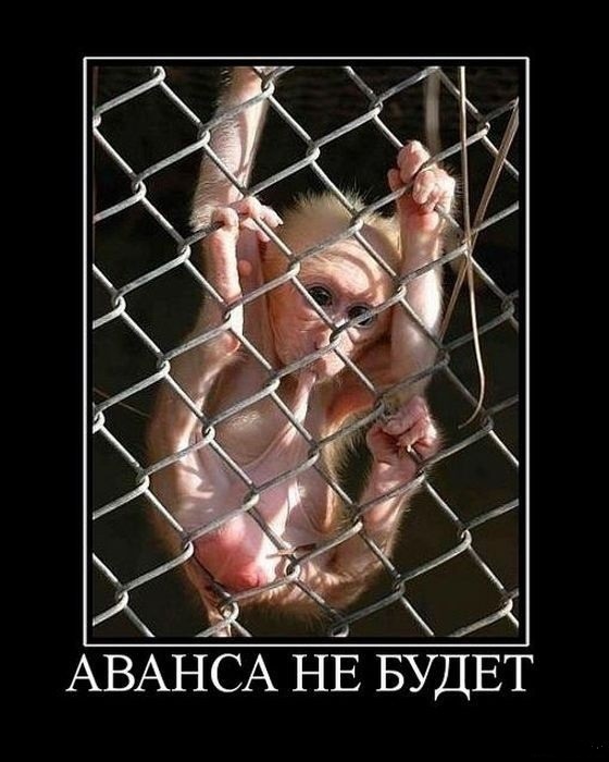 Улыбнись - демотиваторы заЯПись