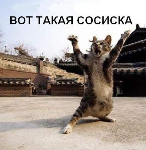 Мохнатые беспредельщики