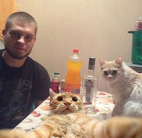 Порция позитивчиков