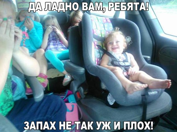Интересные и веселые картинки