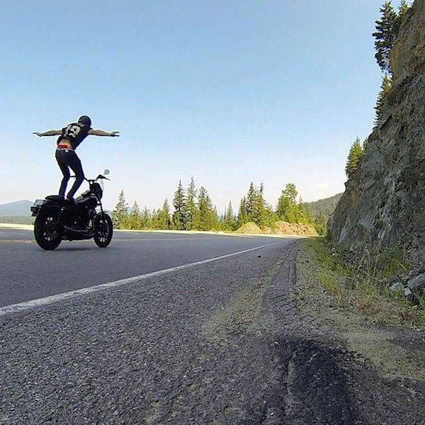 Картинки и приколы из сети