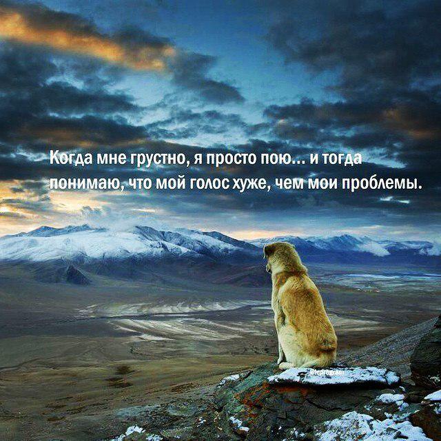 Картинки со смыслом и без