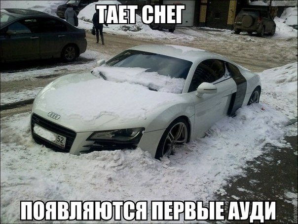Подборка безудержного веселья