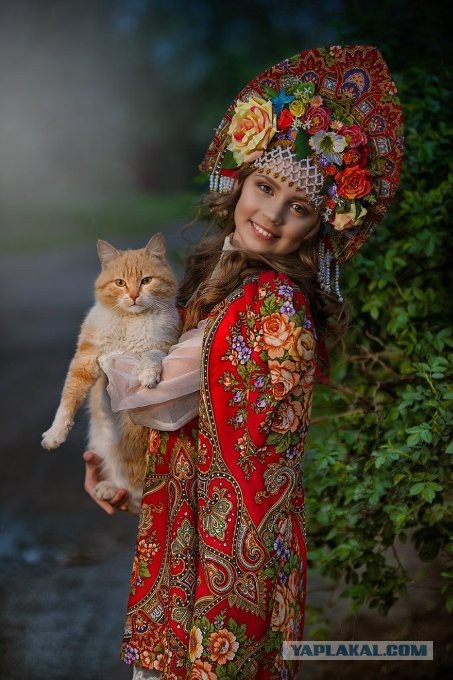 Мизэнтропия растет...