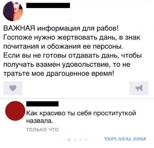Вот так надо знакомиться...