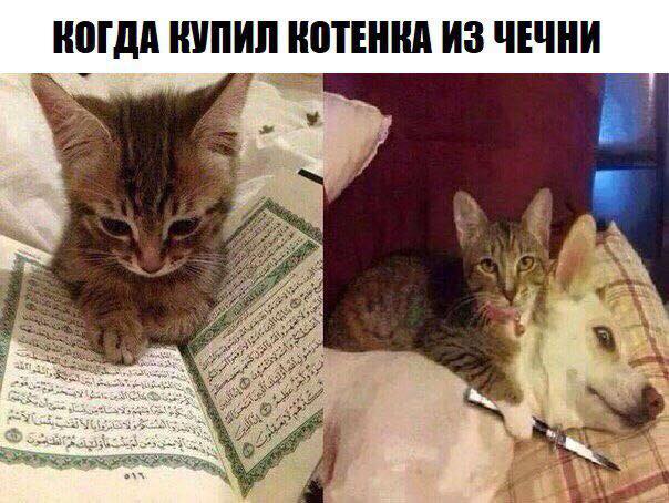 Нетематические картинки