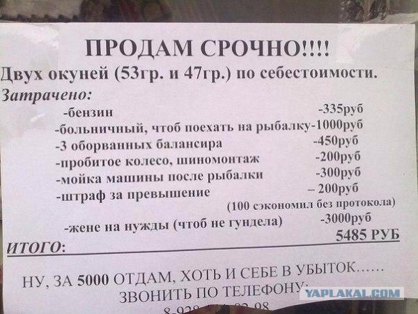 Неожиданная находка в глухом лесу