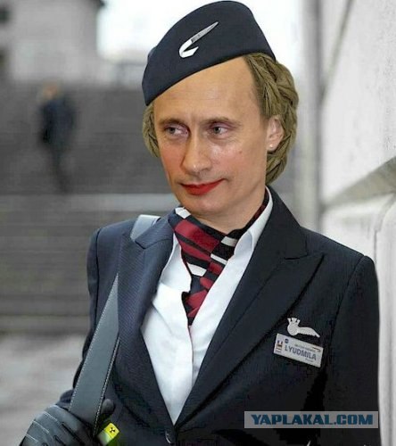 Откровения стюардессы