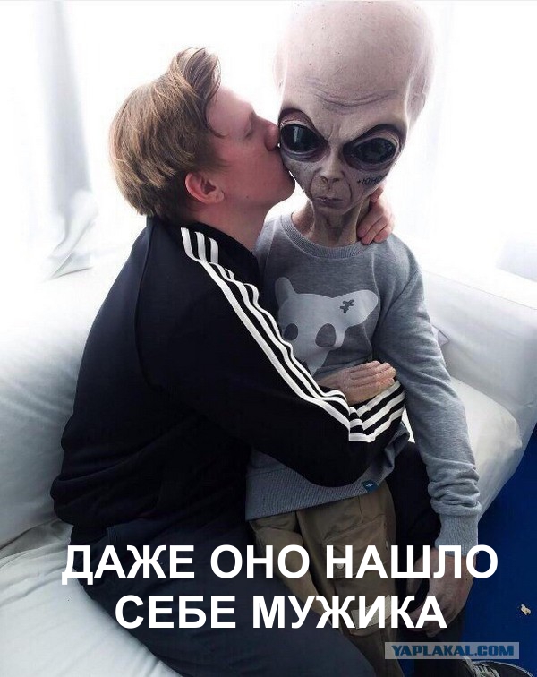 Бывают в жизни огорчения...
