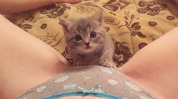 Картинки, на которые стоит взглянуть
