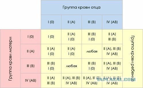 Группа крови на... свидетельстве о рождении