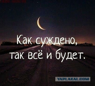 Чудики из социальных сетей