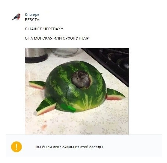 Оп! Нас накрыла тяжёлая наркомания!