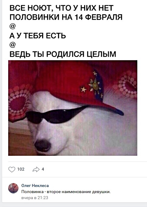 Анекдоты, соц-сети и картинки с надписями