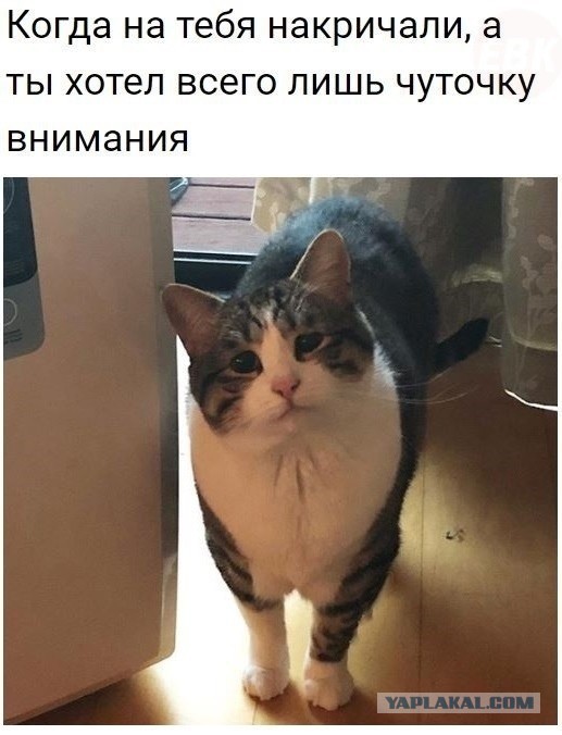 Немного картинок для настроения
