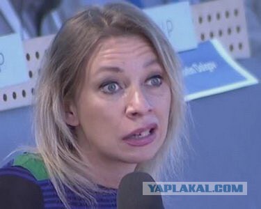Германия передала Украине грамоту Петра I