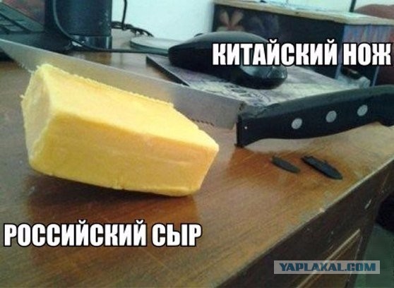 Как России слезть с «пальмы»: Почему вместо нормальных молочных продуктов нам предлагают суррогаты на основе пальмового масла