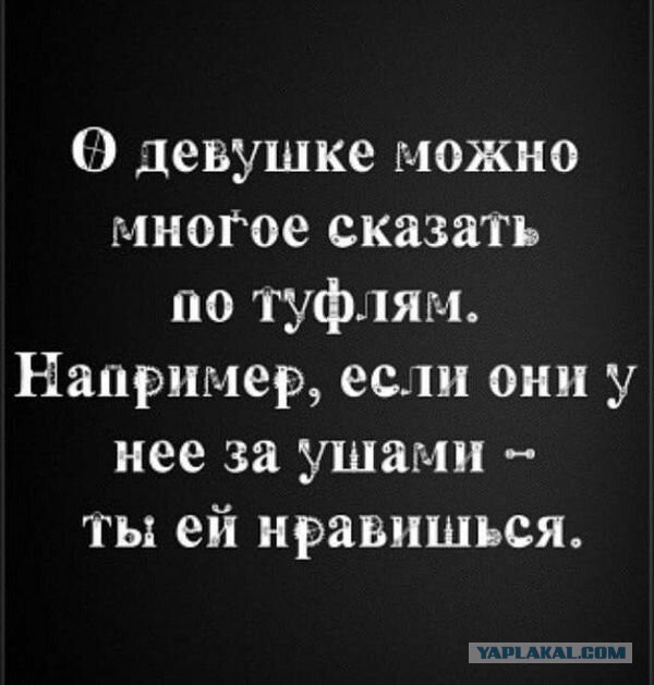 Бредзона 08.01.20