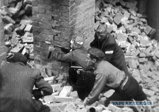 Во время Варшавского восстания Армия Крайова уничтожила оставшихся в городе украинцев и евреев