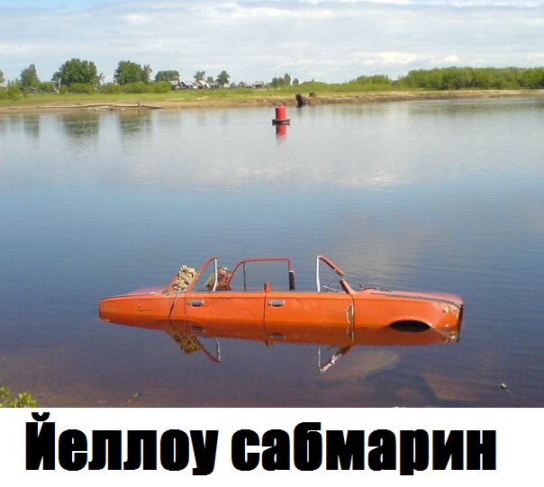 Скотсети и прочие интернеты 06.03.20