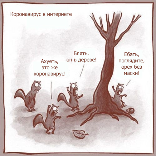 А давайте всё-таки побудем недельку дома, а?