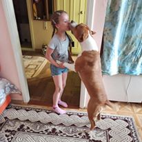 Чуток картинок не про вирус. Собаки.