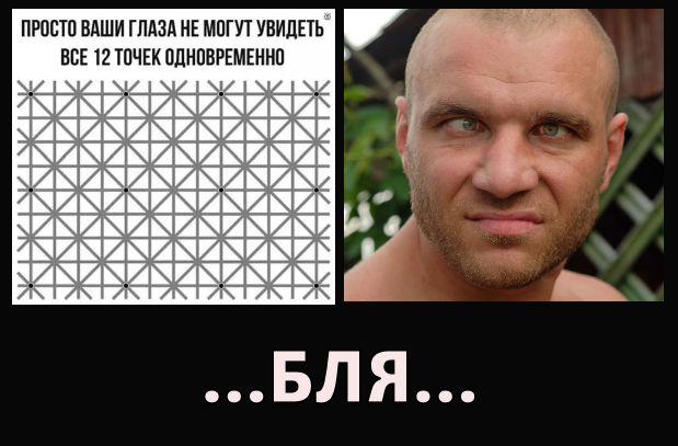 Фотки и картинки: юморные и красивые, забавные и милые 28.09.20