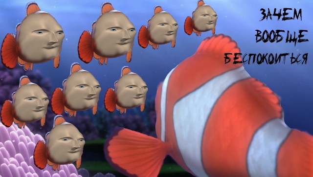 Что тут лишнее?