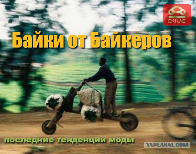 Фотожаба: ТВ программа