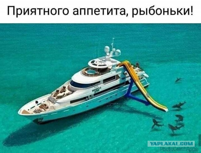Студентка уехала кататься на яхте с российским бизнесменом и пропала