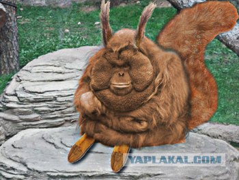 Фотожаба: Всю жизнь за решеткой