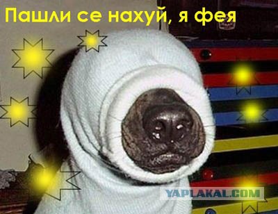 ЯПлакалъ, как вы ругаетесь?