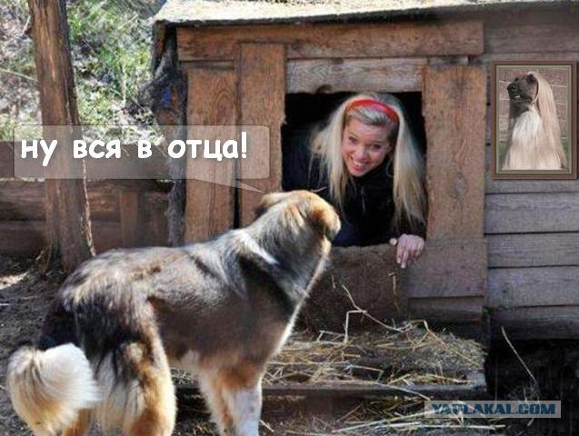 Фотожаба: Собака с Девушкой