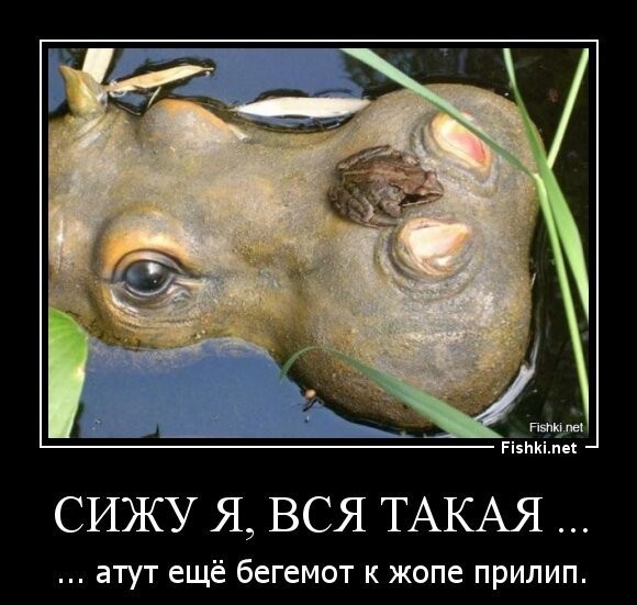 Россия пообещала США "серьезный разговор"
