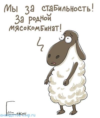 Ну, теперь заживём