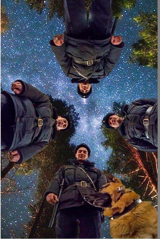 Насохранял