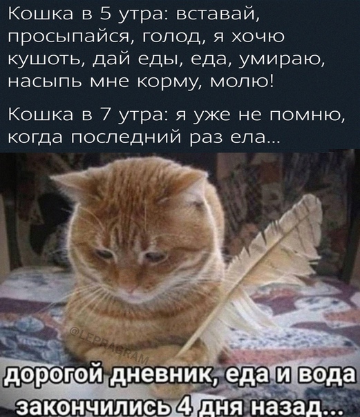 Картинки и мемы для настроения 025