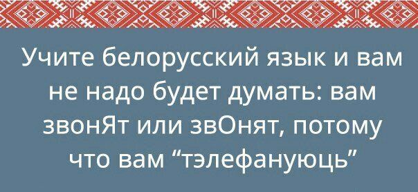 Весёлый полтишок 05.11