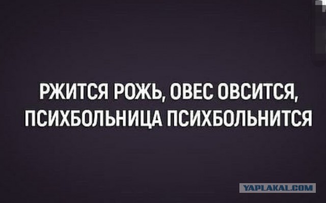 Наконец-то нормальная наркомания в этот воскресный день