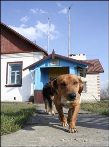 Сталкеры Полесья