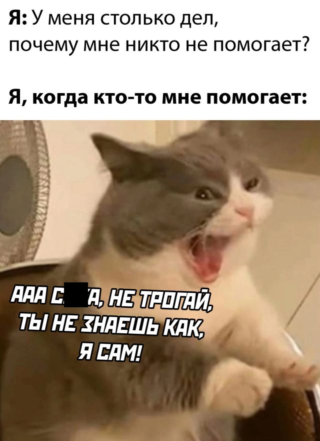 Так себе картинки 12.02.22