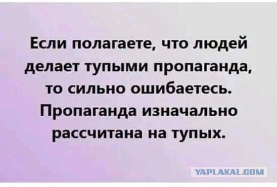 На 12-й день войны...