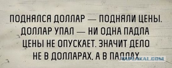 К вопросу о падлах