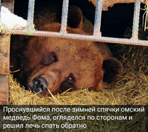 Картинки и мемы для настроения 31.03.2022