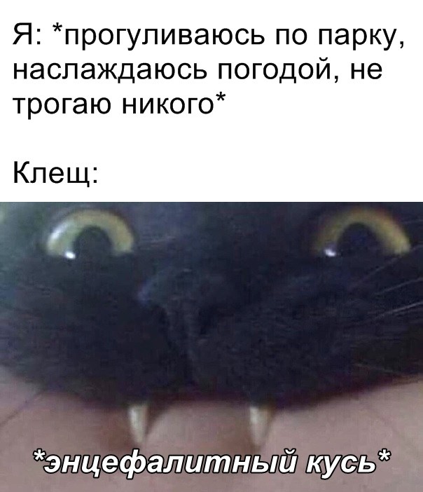 Доброе утро, ЯПъ