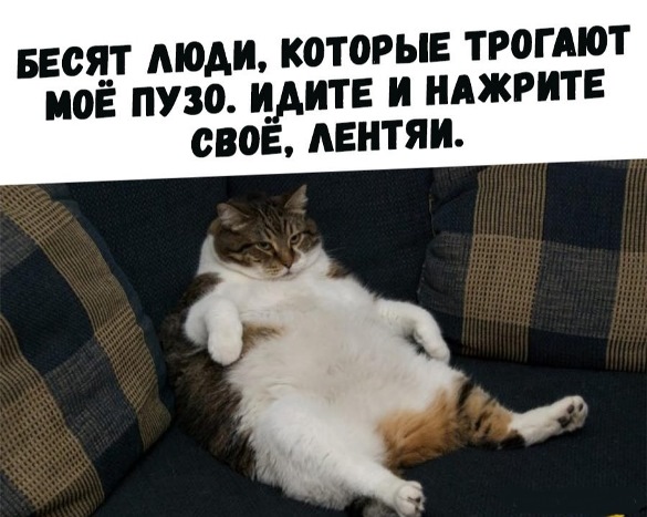 Два мнения о мужчинах 40+
