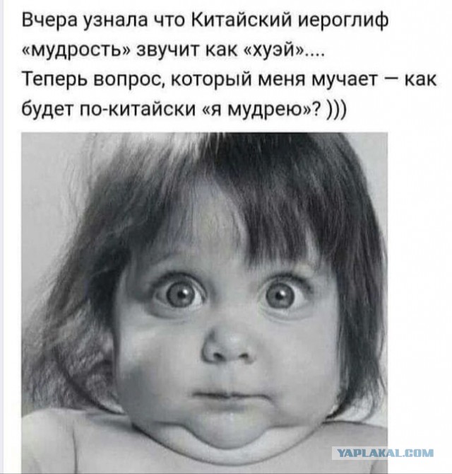 Юмор в картинках и без